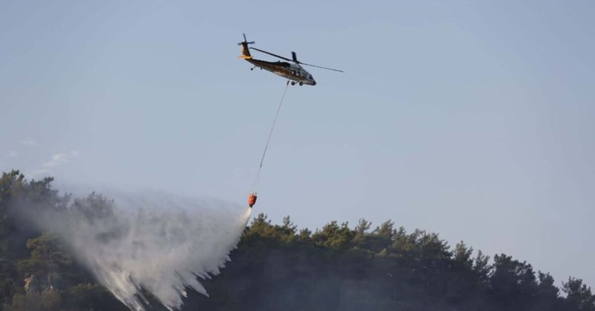 Muğla, Bursa, Balıkesir, Antalya ve Adana’da orman yangını