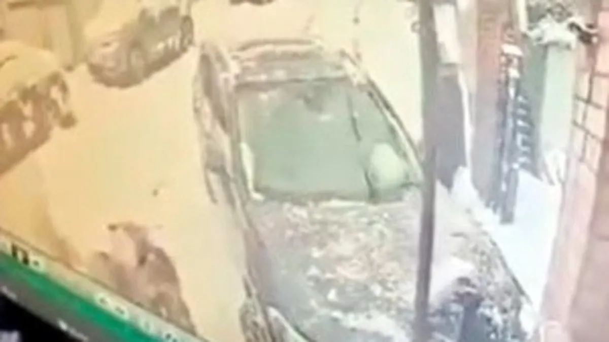 Sokakta gördüğü kediyi seven vatandaşa karda kayan araba çarptı
