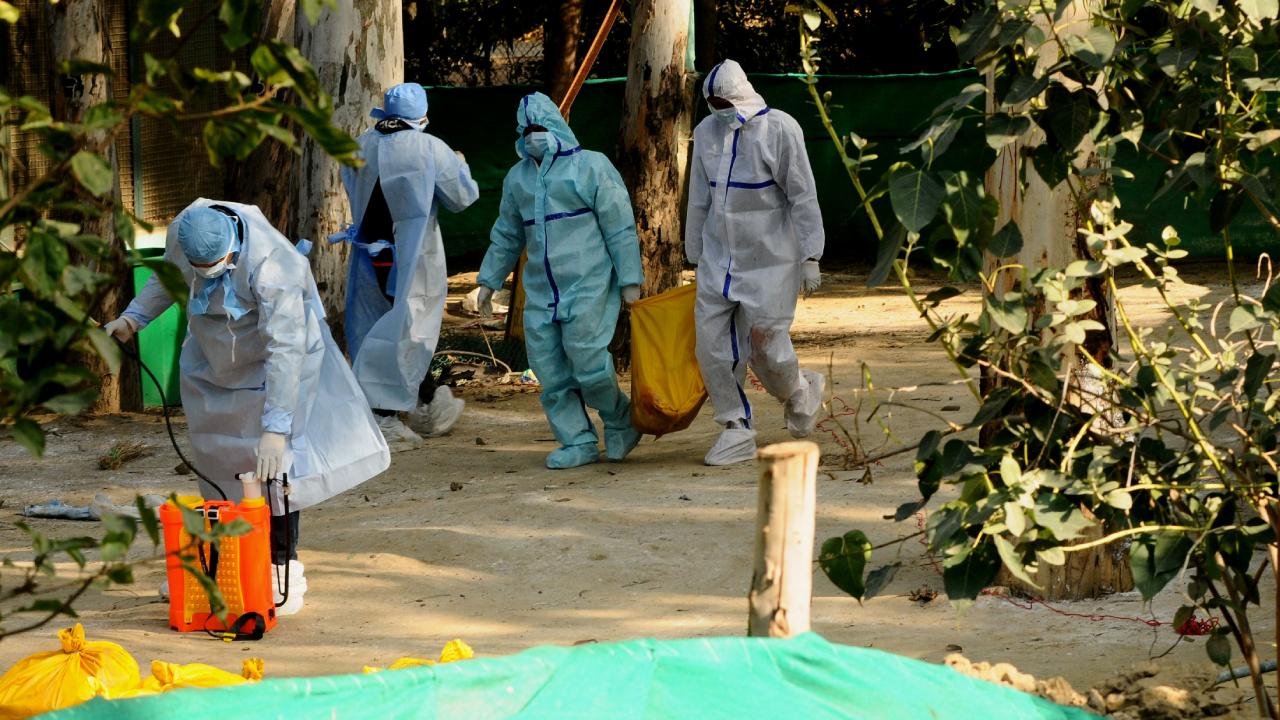 Meksika’da ilk kez bir insanda “H5N1” türü kuş gribine rastlandı